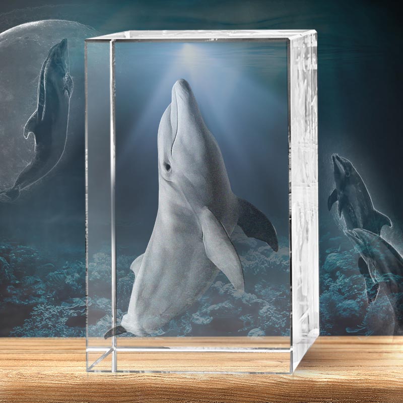 Dolphin 3D Crystal - The best 3D crystal gifts